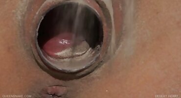 ഞാൻ ഒരു കൈകൊണ്ട് പൊള്ളിച്ചു അയൽക്കാരന് ഒരു വലിയ കോഴി കൊടുത്തു