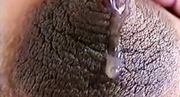 കോയിഡ് സ്നീക്കറുകൾ കൈകാര്യം അധ്യാപകൻ കോഴി