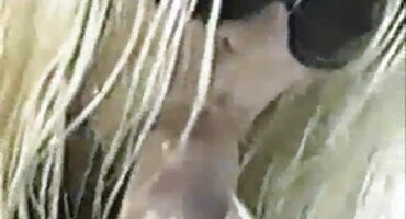 ഇറ്റാലിയൻ സെക്സ് ബസ്റ്റി ബ്രൂണെ