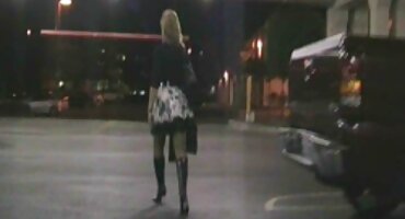 വീടിനു ചുറ്റും തവിട്ടുനിറമുള്ള മുടിയിഴകൾ ഒരു തെമ്മാടി ജോലിയിൽ മുഴുകുന്നു