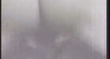 കറുത്ത കോഴി ന് രതിമൂർച്ഛയിൽ നിന്ന് വെളുത്ത കുമ്മായം