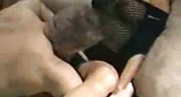 ജോലിസ്ഥലത്ത് സ്വയംഭോഗം ചെയ്യരുത്, അല്ലാത്തപക്ഷം നിങ്ങൾ പൂർണ്ണമായി നശിക്കും.