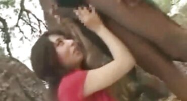 അനുസരണയുള്ള ആട് ഒരു പൊള്ളയിൽ ഒരു പാചകക്കാരനിൽ നിന്ന് സ്വരം ഉയർത്തുന്നു