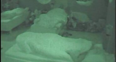 പങ്കാളി സ്റ്റോക്കിംഗ്സ് തന്റെ സുഹൃത്ത് ലൈംഗിക സ്നേഹിക്കുന്നു