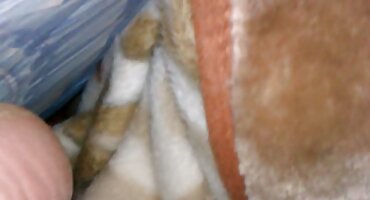 അശ്ലീല ദൃശ്യങ്ങൾ കാണുന്ന ഒരു പെൺകുട്ടിയെ ഫക്ക് ചെയ്യാൻ ഇത് വളരെ നല്ലതാണ്