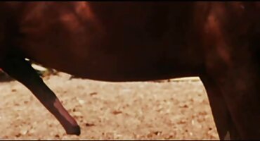 ഇൻ പെർകി കോസ്പ്ല ലെസ്ബിച്ചെ