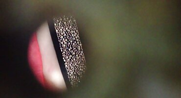 'ഞാൻ' യിലൂടെ ഒരു കൊമ്പൻ മനുഷ്യന് കീഴടങ്ങി