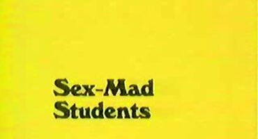 ചെക്ക്പോസ്റ്റ് പുറംതൊലി ശേഷം അപരിചിതൻ