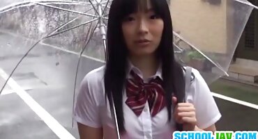 തൃപ്തി ദേശായി ശബരിമലയിലേക്ക്