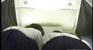 പരിചയസമ്പന്നരായ ബ്ലൊജൊബ്സ് പ്രകടനം റിയൽ നായിക